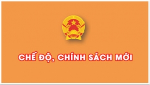 Các chính sách tiền lương có hiệu lực từ tháng 7/2015