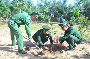 Trồng cây xanh trong khuôn viên của đơn vị