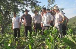 Lãnh đạo Trung ương Đoàn và Tỉnh Đoàn Phú Yên tham quan mô hình trồng rừng của thanh niên Cao Quý Ngà ở xã An Nghiệp (huyện Tuy An).