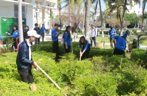 Đoàn viên, thanh niên, sinh viên đã tham gia tổng dọn vệ sinh môi trường.