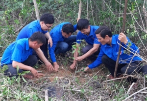 Đoàn viên, thanh niên trồng cây xanh.