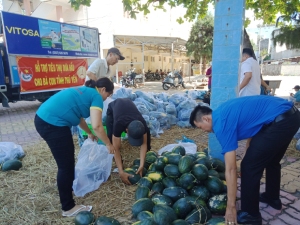 Đoàn viên, hội viên, thanh niên của tỉnh tham gia bốc dỡ, hỗ trợ bán dưa hấu cho bà con nông dân.