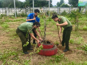 Chi đoàn Phòng An ninh kinh tế và Chi đoàn Văn phòng Cơ quan CSĐT trồng cây xanh bảo vệ môi trường tại xã Sông Hinh