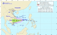 Chủ động ứng phó cơn bão số 12