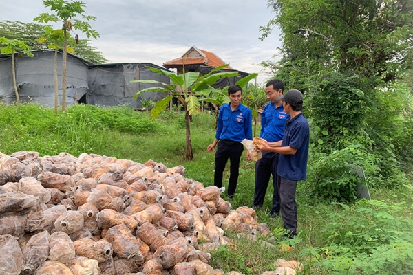 Huyện đoàn, Hội LHTN huyện Sông Hinh tham quan, hỗ trợ dự án khởi nghiệp đổi mới sáng tạo cho mô hình trồng nấm của thanh niên Nguyễn Văn Bính ở xã Đức Bình Tây. Ảnh: CTV