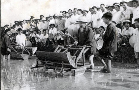 Chủ tịch Hồ Chí Minh tới thăm và dùng thử máy cấy tại trại thí nghiệm lúa thuộc Sở Nông lâm Hà Nội (1960) (Nguồn: Internet)