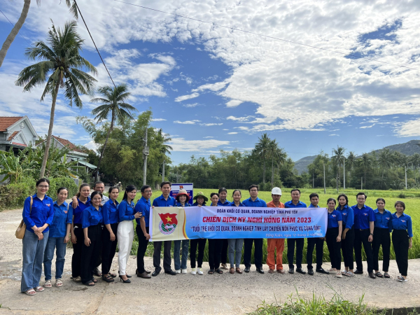 Thi công, lắp đặt hoàn thiện và khánh thành công trình thắp sáng đường quê.