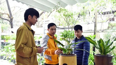 Phát triển sản phẩm máy lọc không khí tại Công ty TNHH Tree OTek.