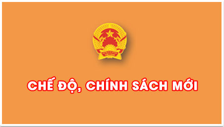 Các chính sách tiền lương có hiệu lực từ tháng 7/2015