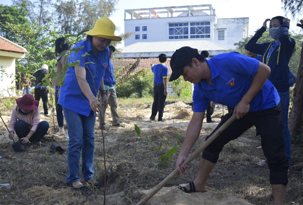 Đoàn viên tham gia trồng cây xanh.