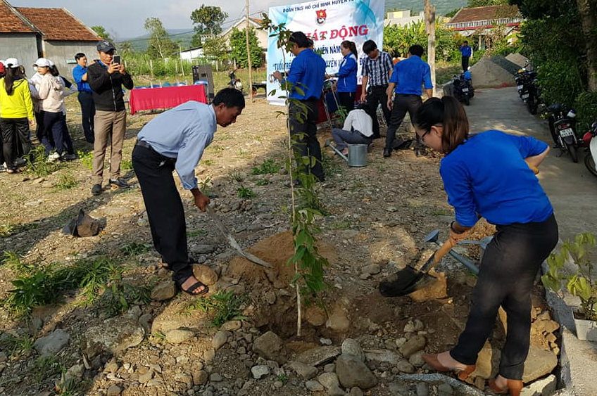 Huyện Đoàn Tuy An ra quân trồng cây xanh sau lễ phát động.