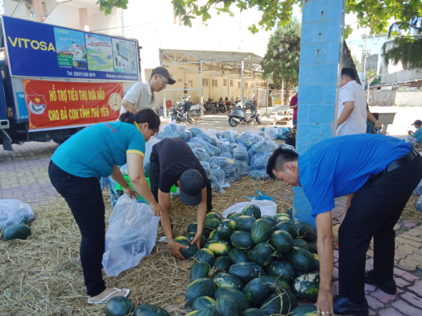 Đoàn viên, hội viên, thanh niên của tỉnh tham gia bốc dỡ, hỗ trợ bán dưa hấu cho bà con nông dân.