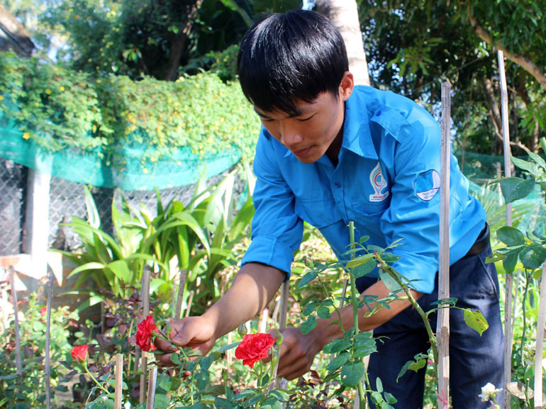 Võ Ngọc Huy tranh thủ thời gian nghỉ để chăm sóc vườn hồng.