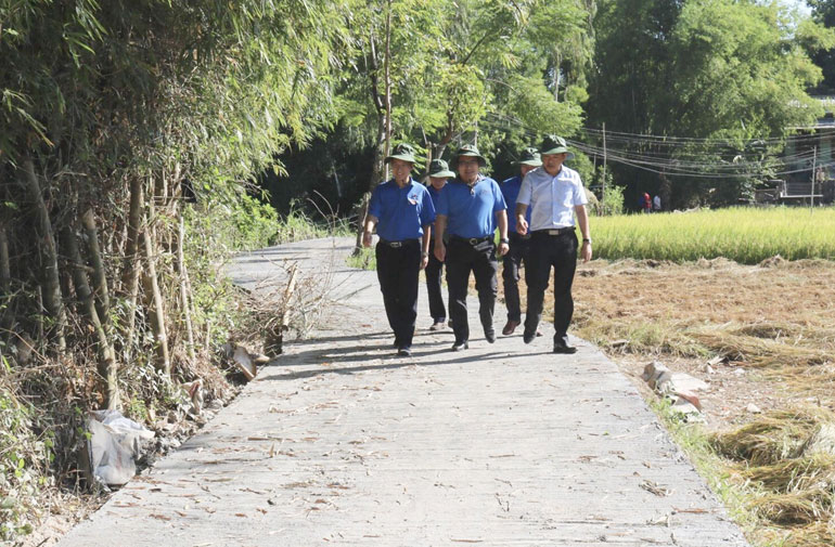 Công trình thanh niên đường bê tông nông thôn chào mừng Đại hội đại biểu Đảng bộ tỉnh lần thứ XVII tại thôn Phong Niên, xã An Định.