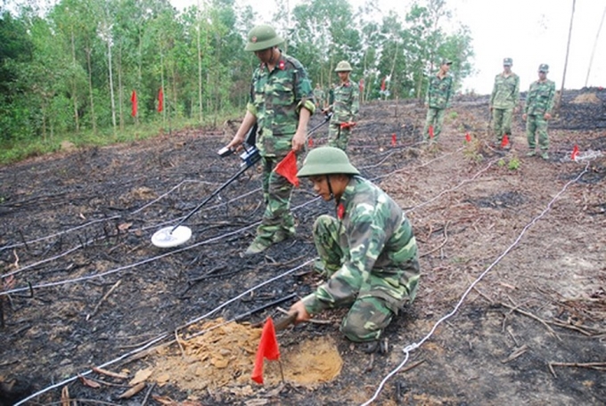 Ảnh minh họa.